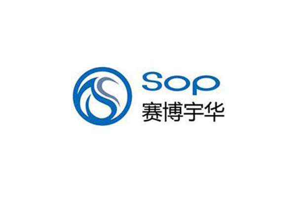 賽博宇華品牌命名,賽博宇華VI設(shè)計,賽博宇華包裝設(shè)計