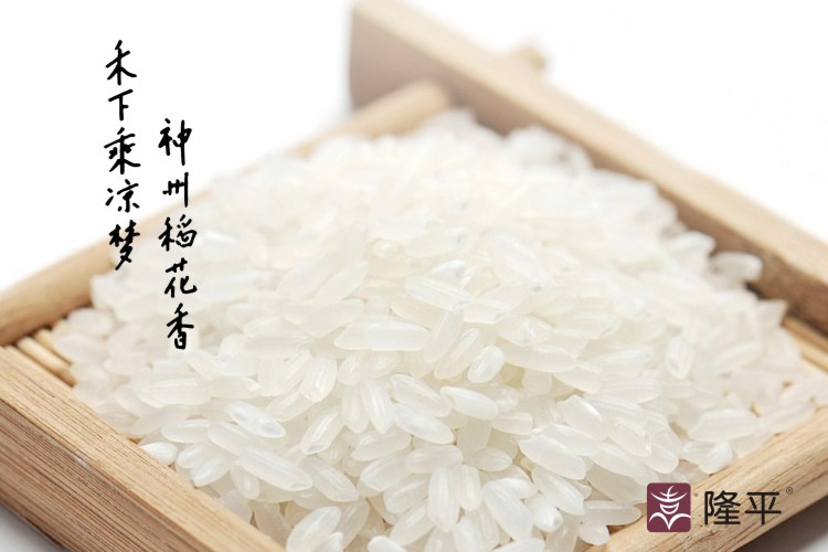 隆平大米包裝設(shè)計(jì),隆平大米畫冊(cè)設(shè)計(jì)