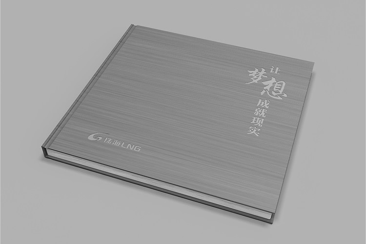 珠海LNG畫冊(cè)設(shè)計(jì)