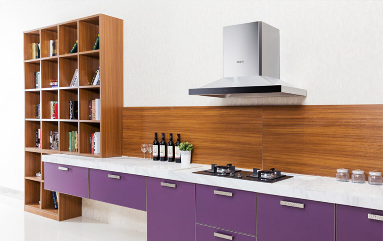 帥康標(biāo)志，帥康LOGO，帥康品牌形象設(shè)計(jì)，廚衛(wèi)電器品牌