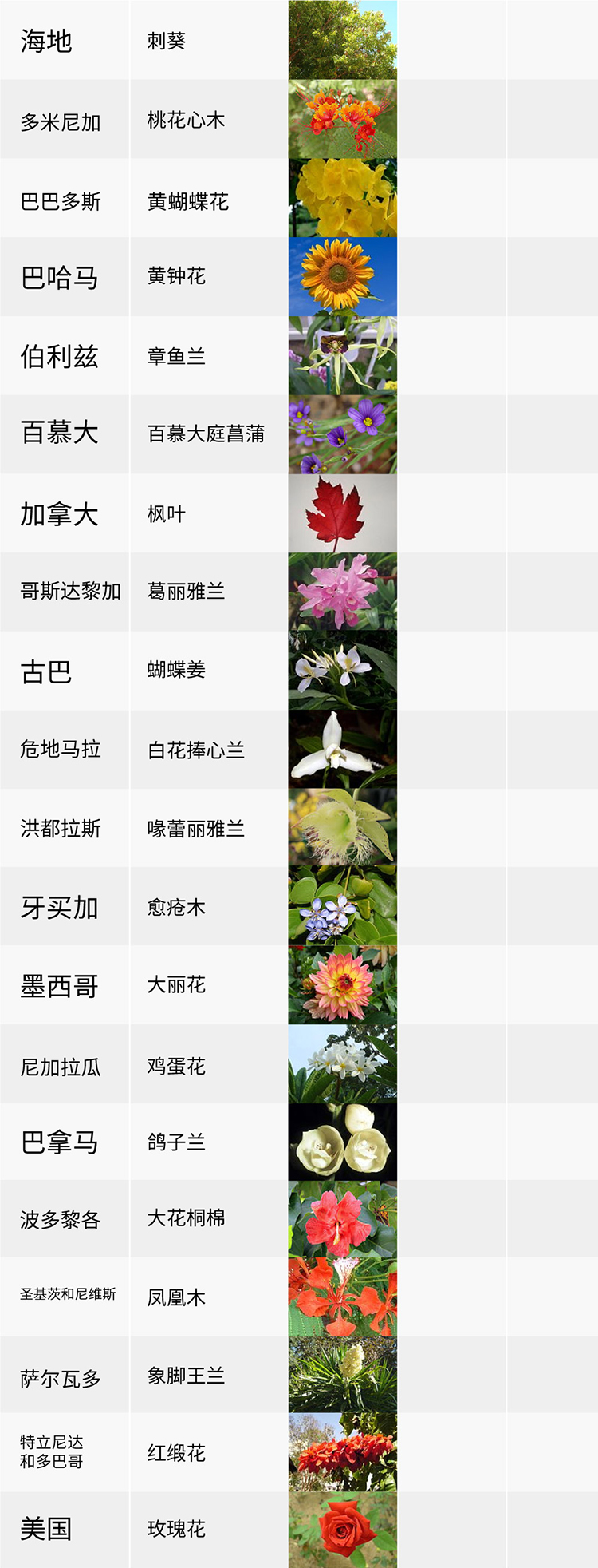 國花,生活,創(chuàng)意,設(shè)計(jì),全力設(shè)計(jì)