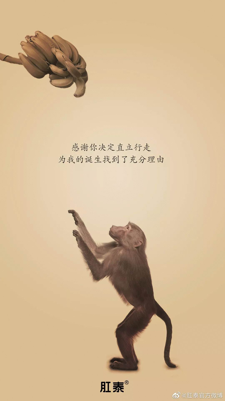 感恩節(jié),品牌,海報,設計