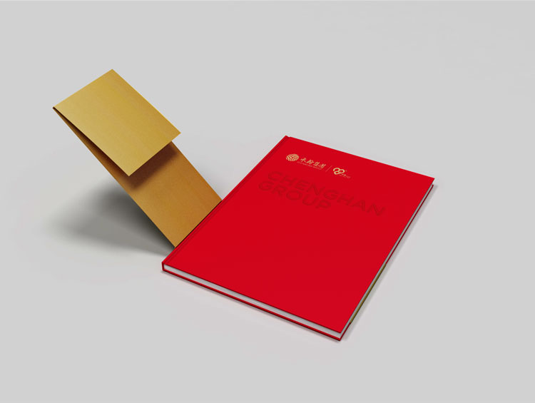 珠海畫(huà)冊(cè)設(shè)計(jì),周年慶畫(huà)冊(cè),全力設(shè)計(jì)