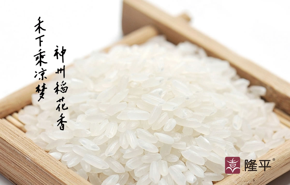 東莞商標(biāo)設(shè)計,品牌商標(biāo)設(shè)計,全力設(shè)計